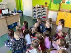 większy obrazek nr 1