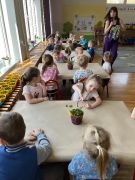 większy obrazek nr 37