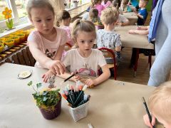 większy obrazek nr 38