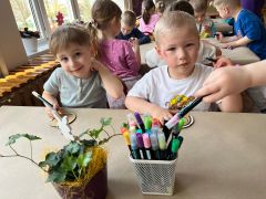 większy obrazek nr 40