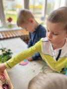 większy obrazek nr 56