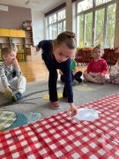 większy obrazek nr 2