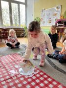 większy obrazek nr 5