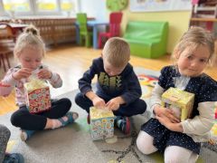 większy obrazek nr 25