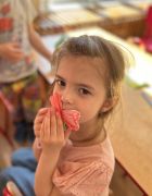 większy obrazek nr 6