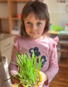 większy obrazek nr 8