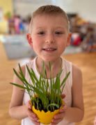 większy obrazek nr 11