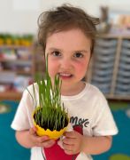 większy obrazek nr 12