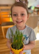 większy obrazek nr 16