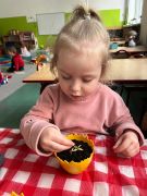 większy obrazek nr 18