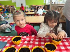 większy obrazek nr 21