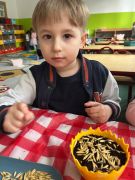 większy obrazek nr 26