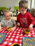 większy obrazek nr 28