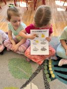 większy obrazek nr 1