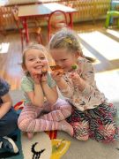 większy obrazek nr 7