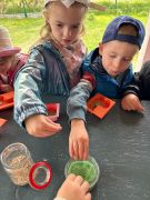 większy obrazek nr 6