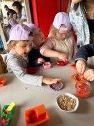 większy obrazek nr 7