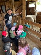 większy obrazek nr 15