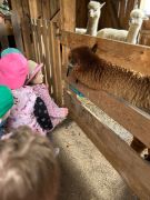 większy obrazek nr 16