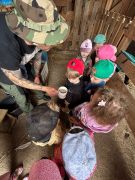 większy obrazek nr 19