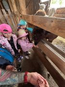 większy obrazek nr 20