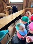 większy obrazek nr 21