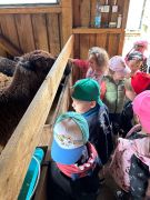 większy obrazek nr 22