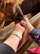 większy obrazek nr 23