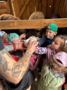 większy obrazek nr 25