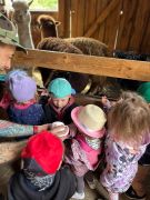 większy obrazek nr 26