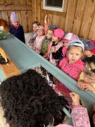 większy obrazek nr 27