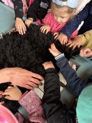 większy obrazek nr 31