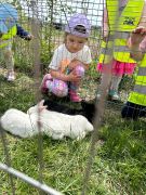 większy obrazek nr 52