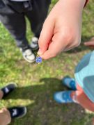 większy obrazek nr 56