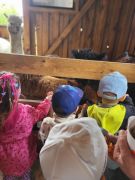 większy obrazek nr 65