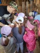 większy obrazek nr 69