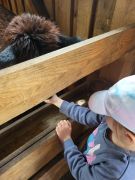 większy obrazek nr 70