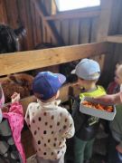 większy obrazek nr 62