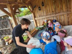 większy obrazek nr 66