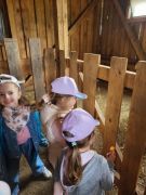 większy obrazek nr 67