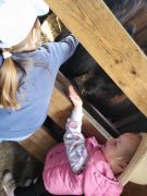 większy obrazek nr 63