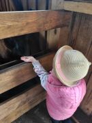 większy obrazek nr 64