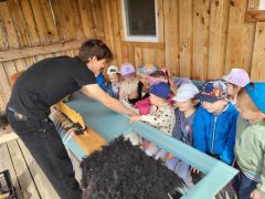 większy obrazek nr 72