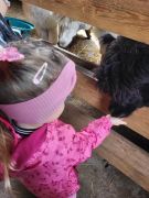 większy obrazek nr 74