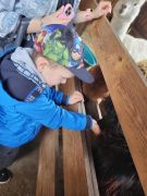 większy obrazek nr 75