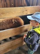 większy obrazek nr 77