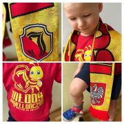 większy obrazek nr 12