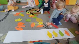 większy obrazek nr 5