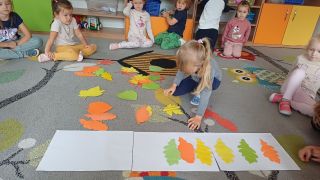 większy obrazek nr 6