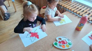 większy obrazek nr 11